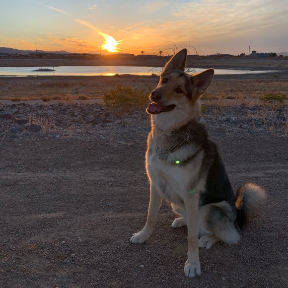 Bookmark Me ๐ฅ - Picture 6 of 10